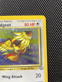 Pidgeot 8/64 Holo Rare Pokemon 1999 Jungle - MP - Image 3