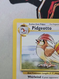 Pokemon TCG - Pidgeotto - 22/102 - Non Holo Rare Base Set Unlimited 1999 Vintage - Image 3