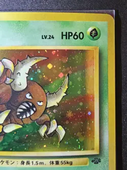 Pinsir Japanese Jungle Holo NM (small dent) - Pokemon TCG - Image 4