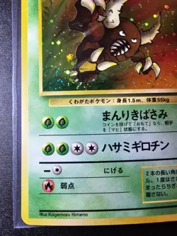 Pinsir Japanese Jungle Holo NM (small dent) - Pokemon TCG - Image 5