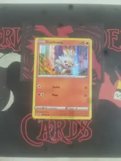 Pokemon TCG Sword And Shield Premium Collection "Scorbunny" 031/202 HOLO NM - Image 1