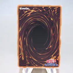 Yu-Gi-Oh Dark Paladin 711C-JP003 Parallel Seven Eleven 2023 MINT Japanese n248 - Image 2