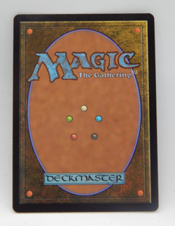 Magic the Gathering - Ravnica Remastered #0433 - GUARDIAN PROJECT - Image 2
