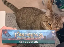 Universes Beyond: Lord of the Rings - FACTORY SEALED 2023 Chase Set Booster Box! - Image 2