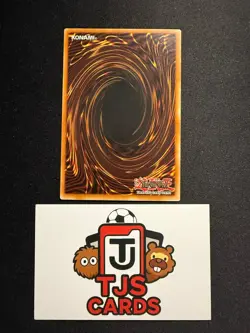 Sky Scourge Enrise - Ultimate Rare 1st Edition FOTB-EN021 - LP - YuGiOh - Image 3