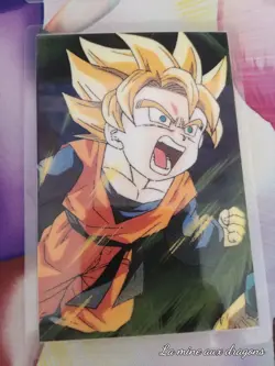 Carte Rami Tercera 110 Dragon Ball Z card plastified Norma Goten - Image 1