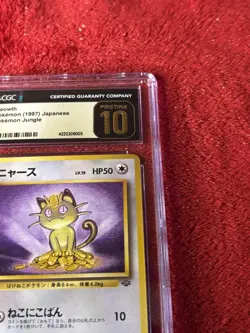 Meowth Pokemon Jungle Regular 1997 (Japanese) CGC Pristine 10 Wotc Vintage - Image 2