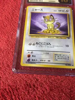 Meowth Pokemon Jungle Regular 1997 (Japanese) CGC Pristine 10 Wotc Vintage - Image 4