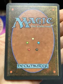 German FBB • Misprint Wald "Forest Plains" • NM / Never Played • Mtg (2042) - Image 4