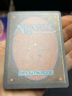 German FBB • Misprint Wald "Forest Plains" • NM / Never Played • Mtg (2042) - Image 5