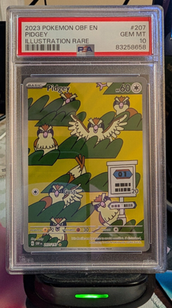 2023 Pokemon Obf En - Obsidian Flames Pidgey Illustration Rare 207/197 PSA 10 - Image 1