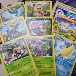 Roaring Skies Pokemon Card TCG Pick Your Card 110 Common & Uncommons Buy5Get5Fre - Image 1