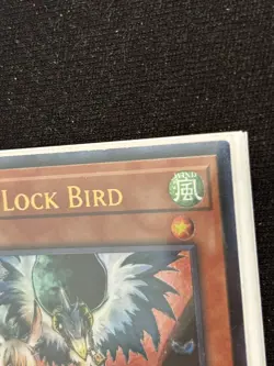 1x Droll & Lock Bird - OTS Pack 8 - Ultimate Rare - OP08-EN001 - Near Mint - Image 2
