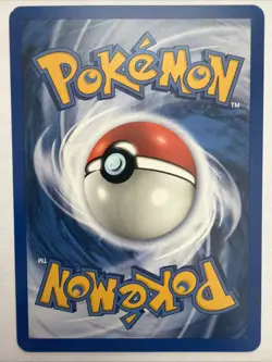Pewter City Gym 115/132 - Gym Heroes - LP Pokemon TCG 2000 - Image 2