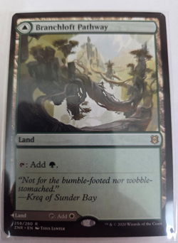 MTG, Branchloft Pathway Zendikar Rising Regular NM - Image 1