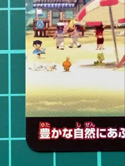 The Hoenn region is rich in scraps and nature. Promo Rare Pokemon Card Game - Image 5