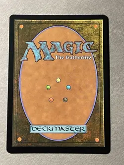 MTG Foil Borderless Universes Beyond: Assassin's Creed ACR Sunbaked Canyon MINT - Image 2