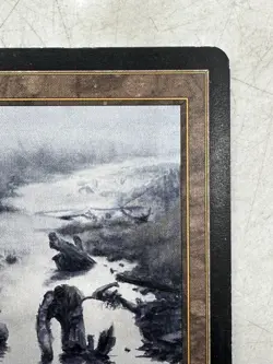 Magic the Gathering MtG Polluted Delta Onslaught (ONS) Signed by Rob Alexander - Image 3