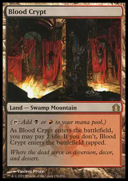 MTG Magic the Gathering Blood Crypt (238/286) Return to Ravnica NM - Image 1