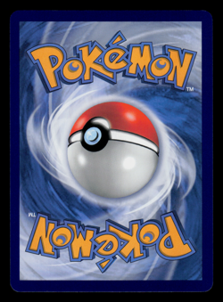 LP - Pokemon Indonesia Electabuzz 196/SV-P Indomilk Kids Promo - Image 2