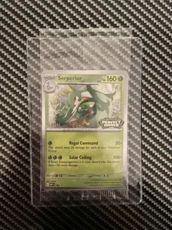 POKEMON TCG PERFECT ORDER STAFF SEALED PROMO SET 4 CARDS - SERPERIOR - Image 1