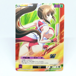 QG066 Dragon Flame Dance MAI SHIRANUI Queen's Blade The Duel system Trading Card - Image 1