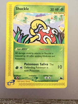 Pokemon Shuckle 96/144 Skyridge Regular and Never Played Rare Find - Image 1
