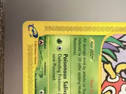 Pokemon Shuckle 96/144 Skyridge Regular and Never Played Rare Find - Image 4