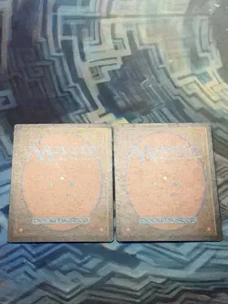 MTG 2X Plaguebearer LP-/MP+ Exodus - Image 5