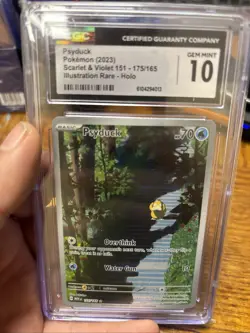 2023 Pokemon MEW EN Illustration Rare #175 Psyduck CGC 10 GEM MINT - Image 1