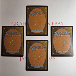 x4 Careful Study - playset - Odyssey - LP - MTG Magic The Gathering - Image 2