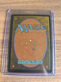 Misty Rainforest Mtg - Image 2