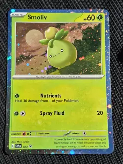 Smoliv SVP 023 Cosmos Holo Black Star Promo Pokemon Card NEAR MINT NM - Image 1