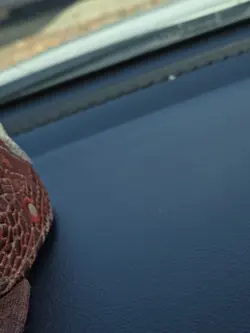 Rebecca (SP) OP05-091 One Piece Premium Booster - The Best Vol.2 English - Image 4