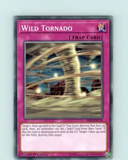 Yu-Gi-Oh TCG Wild Tornado SS02-ENC18 1st Edition Regular Common Card NM - Image 1