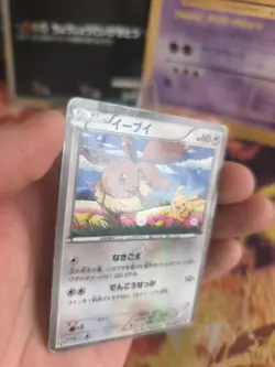 Pokemon Karte Card Holo Eevee Evoli Pikachu BW Promo Black Star japanese LP - Image 3