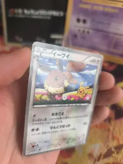 Pokemon Karte Card Holo Eevee Evoli Pikachu BW Promo Black Star japanese LP - Image 4