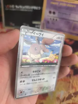 Pokemon Karte Card Holo Eevee Evoli Pikachu BW Promo Black Star japanese LP - Image 5