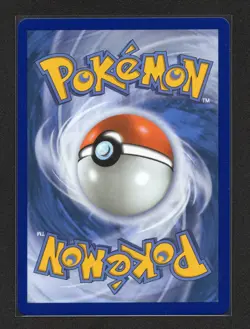 Pokemon Squirtle MEP 039 First Partner 30th Anniversary Black Star Promo - Image 2
