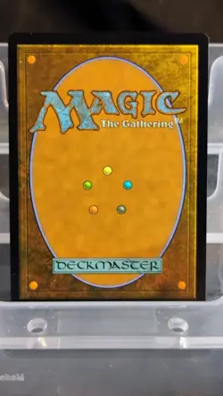 Magic: The Gathering Hallowed Fountain Rare Land White Blue Regular ECL 2026 - Image 2