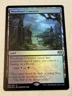 mtg foil Woodland Cemetery, rare land, Dominaria Remastered, unplayed - Image 1