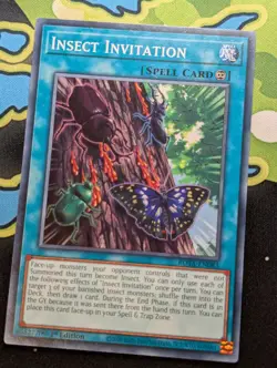 Insect Invitation ROTA-EN083 1st Edition YuGiOh TCG Card - Image 1