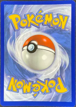 Pokemon Cubchoo Black Bolt 109/086 Illustration Rare NM - Image 2