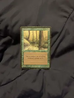 Singing Tree (Arabian Nights) HP MTG - Image 1