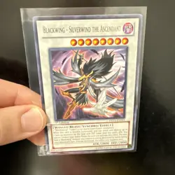 Blackwing Silverwind the Ascendant DP11-EN015 1st Edition Rare YuGiOh Card Nm/M - Image 1