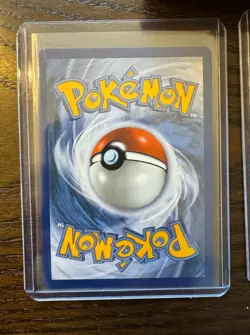 Pokemon Day 2026 Collection Box + Charizard X ex Charizard Y ex Promos MORE ! - Image 5