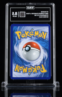 2008 POKEMON DIAMOND & PEARL STORMFRONT 19/100 GYARADOS REVERSE HOLO TAG 8.5 NM - Image 2