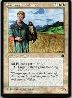 Soraya the Falconer R Homelands LP - Image 1