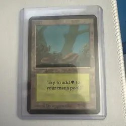 Forest (A) Alpha MP Moderate Play MTG Magic The Gathering 1.6 - Image 1