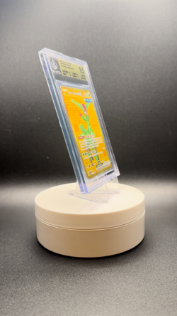 2024 Iron Leaves EX #213 HR Pokemon Scarlet and Violet: Temporal Forces - Image 2